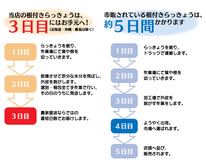 らっきょうは鮮度がウリ！<BR>らっきょう市場こだわりの最短発送！