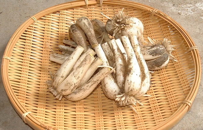 やっと完成、お客様には鮮度が高い状態で届けたい