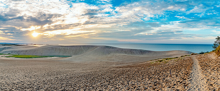 過酷な砂丘の地で育つ<br> らっきょうは特別な美味しさ