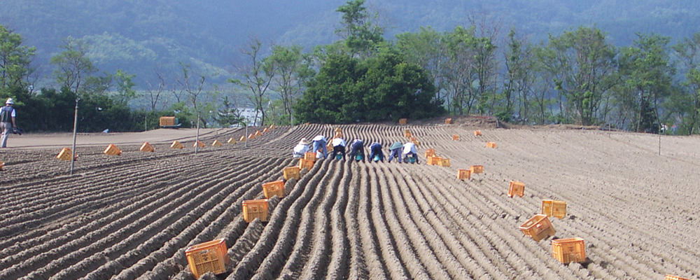 こだわり１　使用する原料はもちろん100％JA出荷の鳥取産