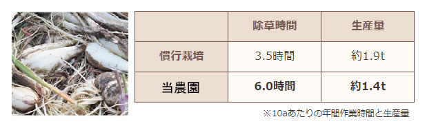 悲しいことに・・・手間をかけても生産量は７割程度