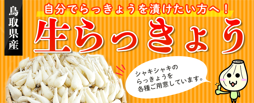 鳥取県福部町産 根付きらっきょうの紹介｡鳥取砂丘という起伏の激しい過酷な環境で栽培された鳥取県の認証も受けるこだわりのらっきょう｡手間は省かず、鮮度を落とさない最速発送ぜひご賞味ください