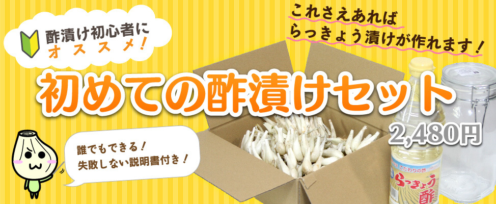 初心者向け はじめての酢漬けセット