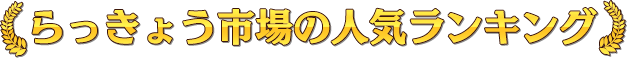 らっきょう市場の人気ランキング